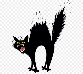 Scary black cat 