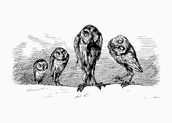 Scary owls vintage drawing | Free stock vector - 573451
