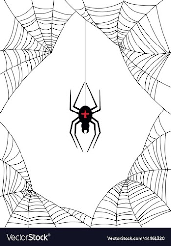 scary spider with a web on a white background