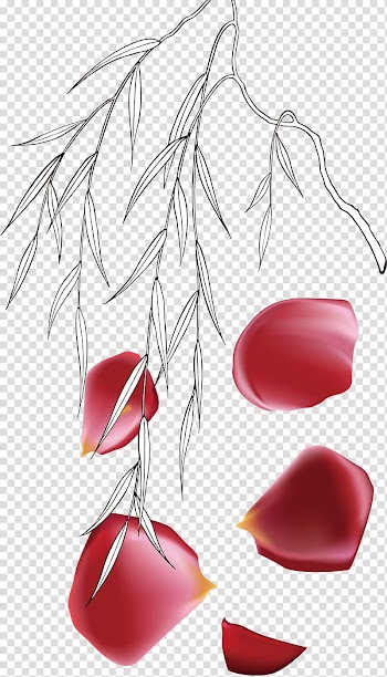 Scatter effect transparent background PNG clipart