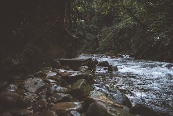Scattered Rocks on Flowing Water
