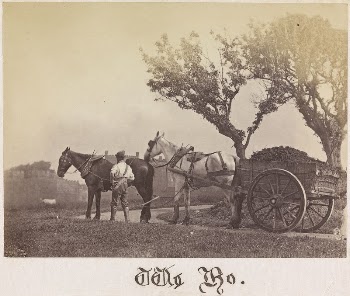 Scene with Cart | Free Photo - rawpixel
