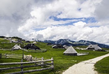 scenery of houses on a grass land