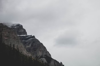 scenery of mountain and trees