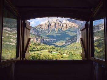 scenery of mountain and trees