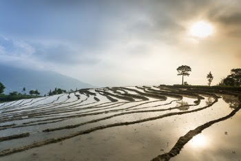 Scenery of Stair Farm