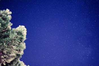 scenery of stars