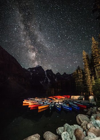 scenery of stars and trees