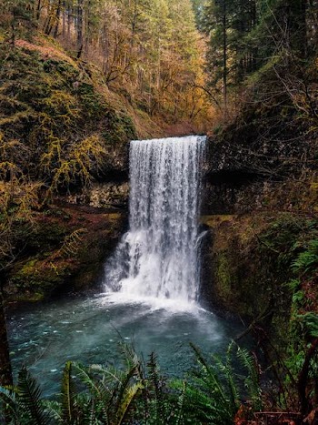 scenery of waterfalls