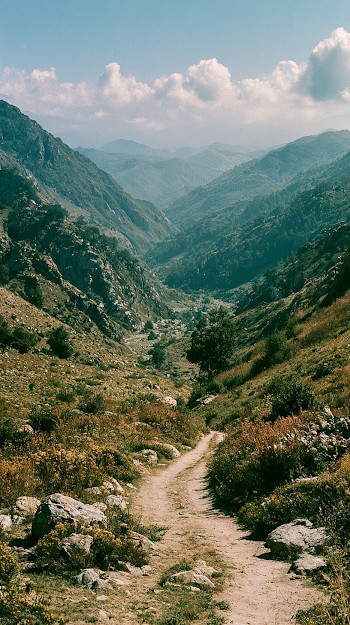 Scenic Mountain Valley Trail