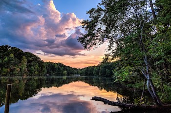 Scenic Photo of a River