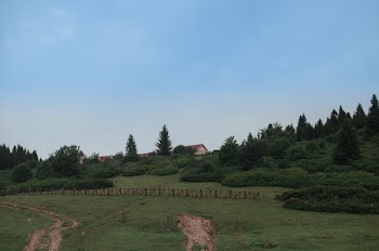 Scenic Photo Of Grass Field During Daytime