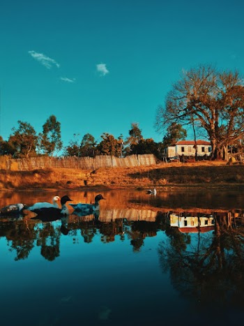 Scenic Photo Of Lake 