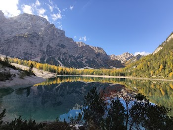 Scenic Photo of Lake Across Trees and Mountains
