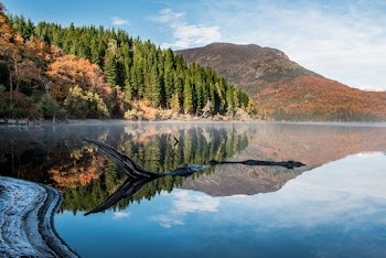 Scenic Photo of Lake Near Trees and Mountain