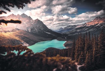 Scenic Photo of Lake Surrounded by Trees