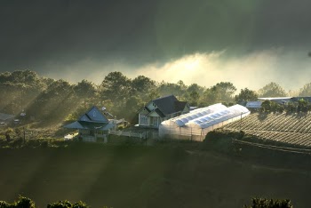 Scenic Photo Of Mountains During Dawn