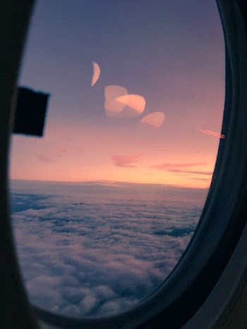 Scenic Photo of Pink Sky