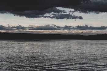 Scenic Photo Of Sea During Dawn