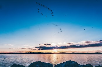 Scenic Photo Of Sea During Daytime
