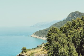 Scenic Photo of Seashore and Mountain