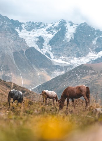 Scenic Photo Of Snow Capped Mountains During Daytime