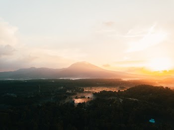 Scenic Photo of Trees Across Mountain