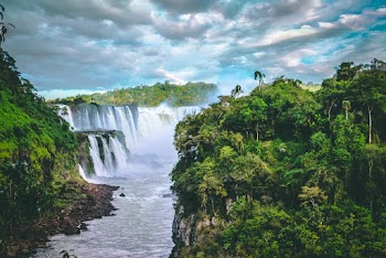 Scenic Photo of Waterfalls Between Trees Under Cloudy Sky