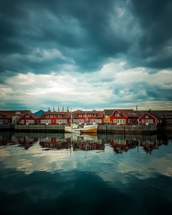 Scenic Photo of Waterfront