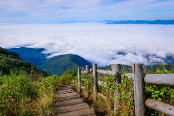 Scenic sea of fog with wooden walk way in Kew Mae Pan nature trail at...