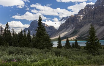 Scenic View at the Banff National Park