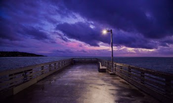 Scenic View From the Dock