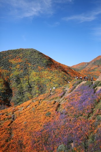 Scenic View of a Mountain