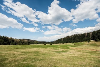 Scenic View Of Grass Field During Daytime