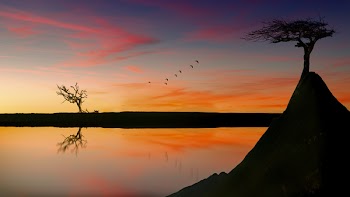 Scenic View Of Lake During Dawn