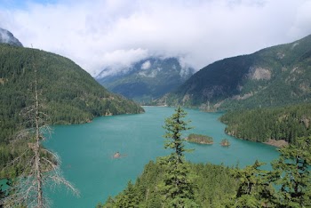 Scenic View Of Lake During Daytime
