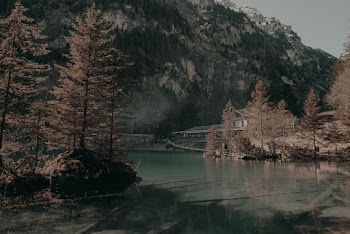 Scenic View Of Lake During Daytime