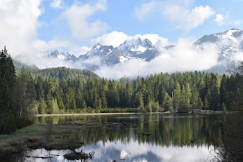 Scenic View Of Lake During Daytime