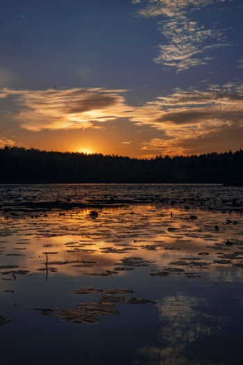 Scenic View Of Lake During Sunset