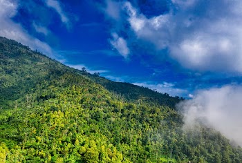 Scenic View Of Mountain
