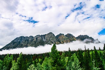 Scenic View of Mountain and Forest
