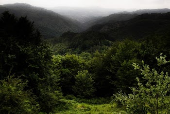 Scenic View Of Mountain During Daytime