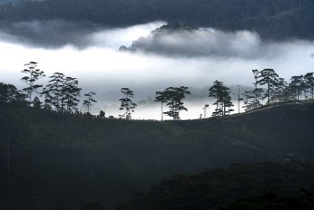Scenic View Of Mountains Under Cloudy Sky