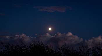 Scenic View Of Night Sky