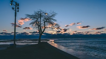 Scenic View Of Ocean During Dawn