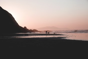 Scenic View Of Ocean During Dawn