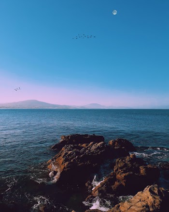 Scenic View Of Ocean During Dawn