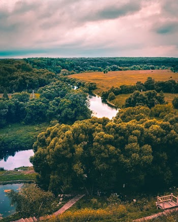 Scenic View Of Park Under Cloudy Sky