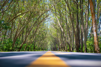 Scenic View Of Roadway During Daytime