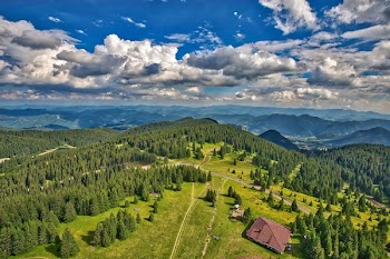 Scenic View of Rural Landscape